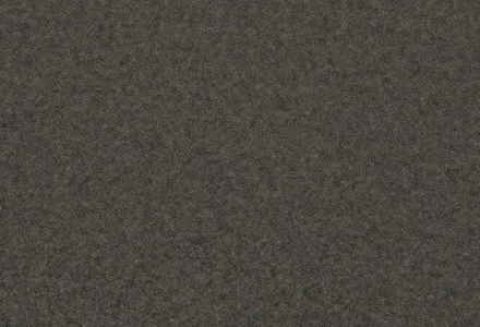 1738590692-polvo.jpg